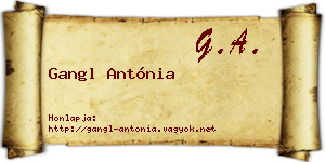 Gangl Antónia névjegykártya